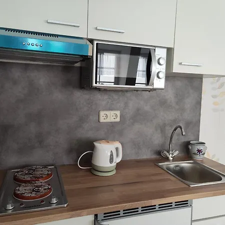 Im Stadtzentrum Apartment
